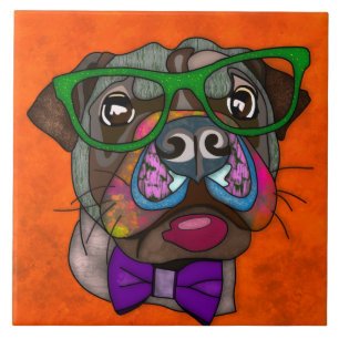 Carreau Carlin dans les lunettes laide chien visage carrea