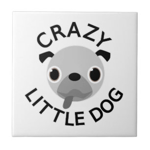 Carreau Carlin fou petit chien