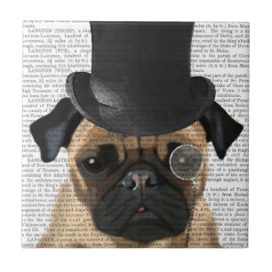 Carreau Carlin, Hound officiel et Casquette