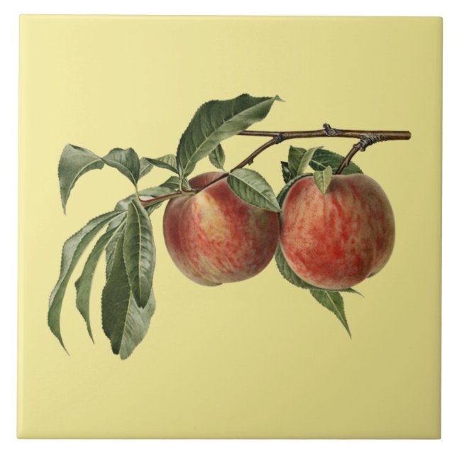 Carreau Carman Peaches ~Carreaux botaniques ~Cuisine ~N'Im (Devant)