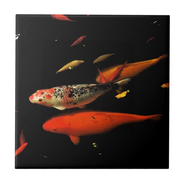 Carreau Carpe de Koi (Devant)