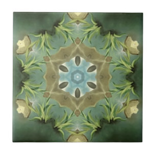 Carreau Carrelage arrière de cuisine / Kal Toscan Couleurs