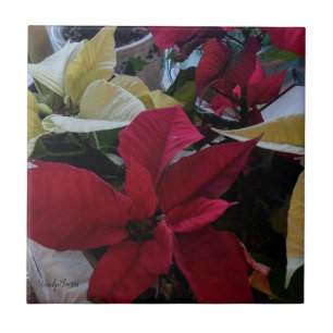 Carreau Carrelage aux poinsettises rouges et blanches