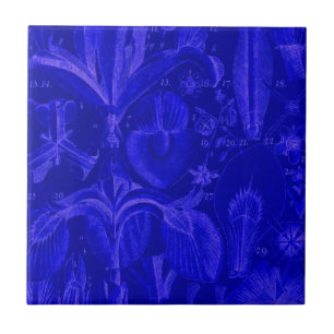 Carreau Carrelage bleu de Colbalt