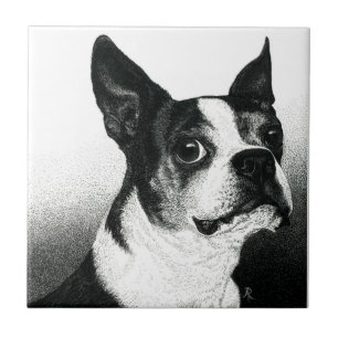Carreau Carrelage Boston Terrier - "Boston Style"