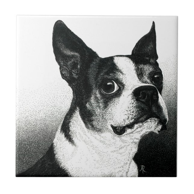 Carreau Carrelage Boston Terrier - "Boston Style" (Devant)