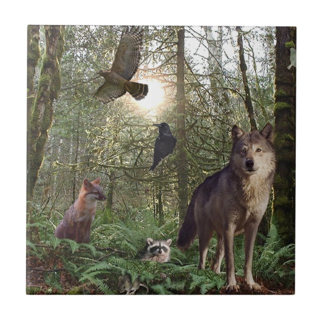 Carreau Carrelage cadeau pour animaux de forêt (Devant)