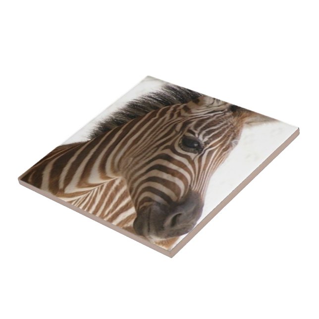 Carreau Carrelage céramique Brown Zebra Stripe (Côté)