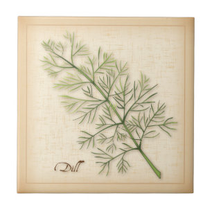 Carreau Carrelage céramique Dill Herb