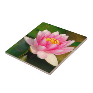 CARREAU CARRELAGE CÉRAMIQUE / LOTUS ROSE BLOSSOM