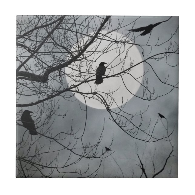 Carreau Carrelage céramique Oiseaux célestes (Devant)