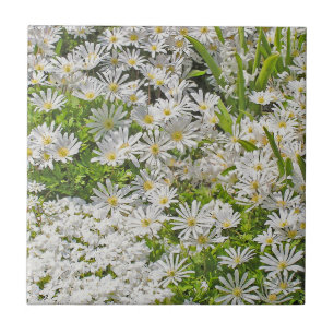 CARREAU CARRELAGE CÉRAMIQUE / TRIVET AVEC DAISIES SHASTA B