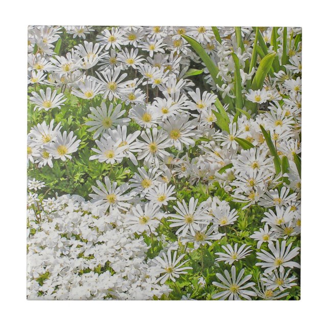 CARREAU CARRELAGE CÉRAMIQUE / TRIVET AVEC DAISIES SHASTA B (Devant)