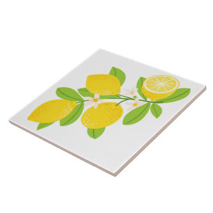 Carreau Carrelage céramique/Trivet-Lemons Carrelage cérami
