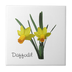 Carreau Carrelage - Daffodique