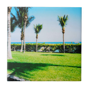 Carreau Carrelage d'arbres tropicaux