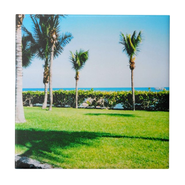 Carreau Carrelage d'arbres tropicaux (Devant)