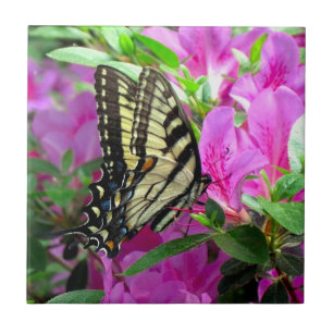 Carreau Carrelage d'art