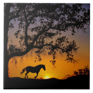 Carreau Carrelage d'art Cheval et Oak Tree