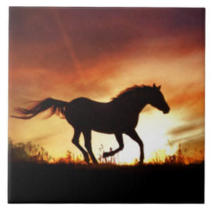 Carreau Carrelage d'art du cheval et du coucher du soleil