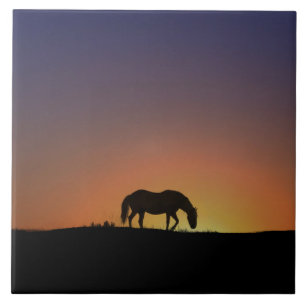 Carreau Carrelage d'art éblouissant