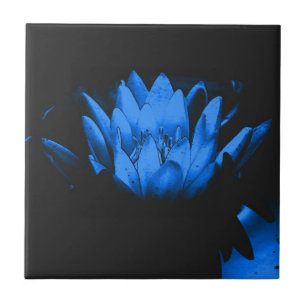 Carreau Carrelage d'art floral Lotus bleu brillant