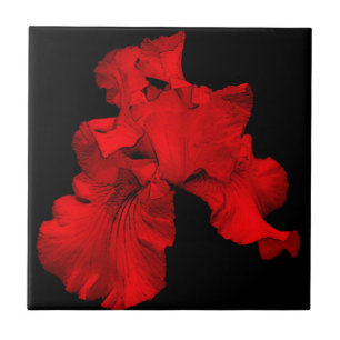 Carreau Carrelage d'art floral rouge Hot Iris