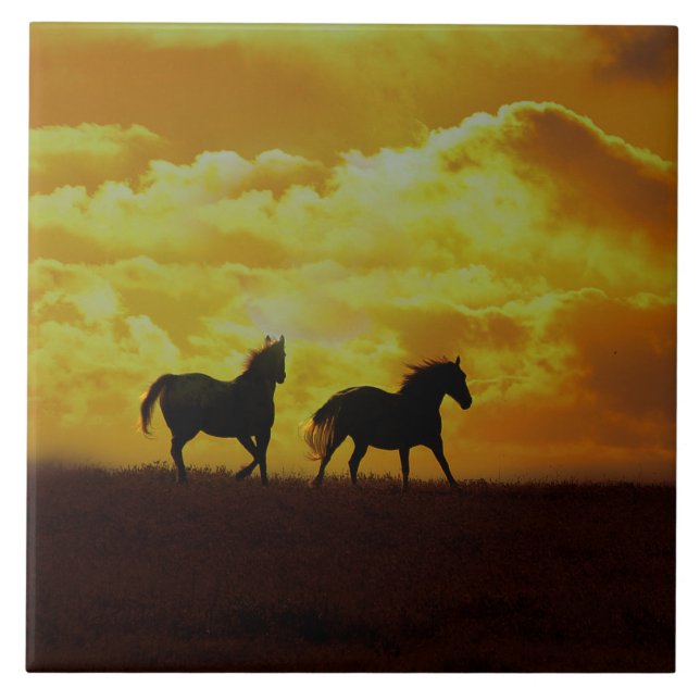 Carreau Carrelage d'art Sunrise (Devant)