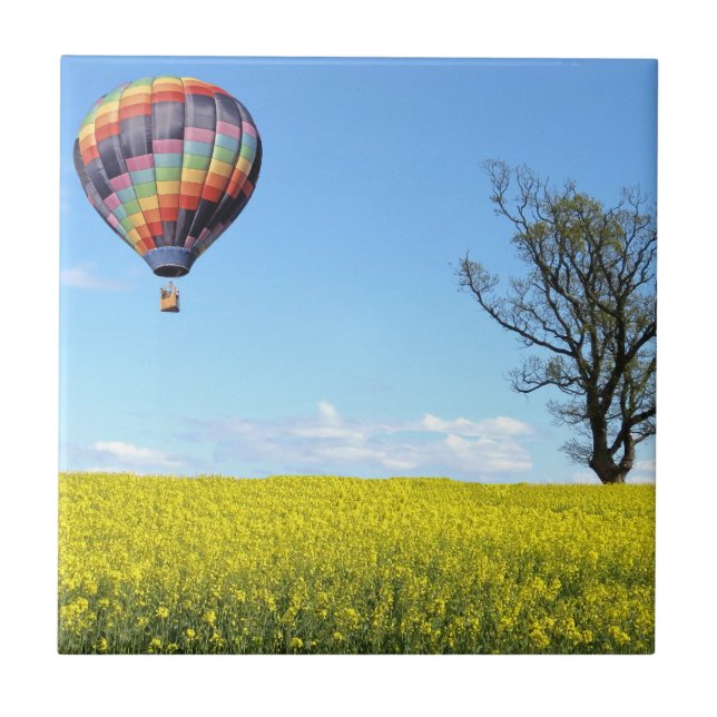 Carreau Carrelage de ballon à air chaud (Devant)