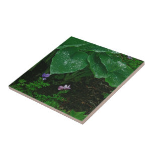 Carreau Carrelage De Céramique Décoré / Auberges Avec Rain