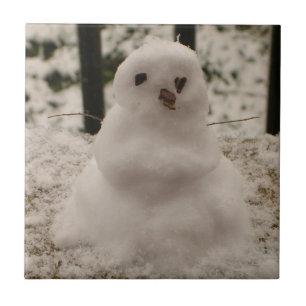 Carreau Carrelage de neige minuscule
