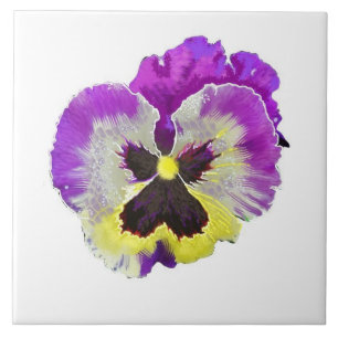 Carreau Carrelage de Pansy