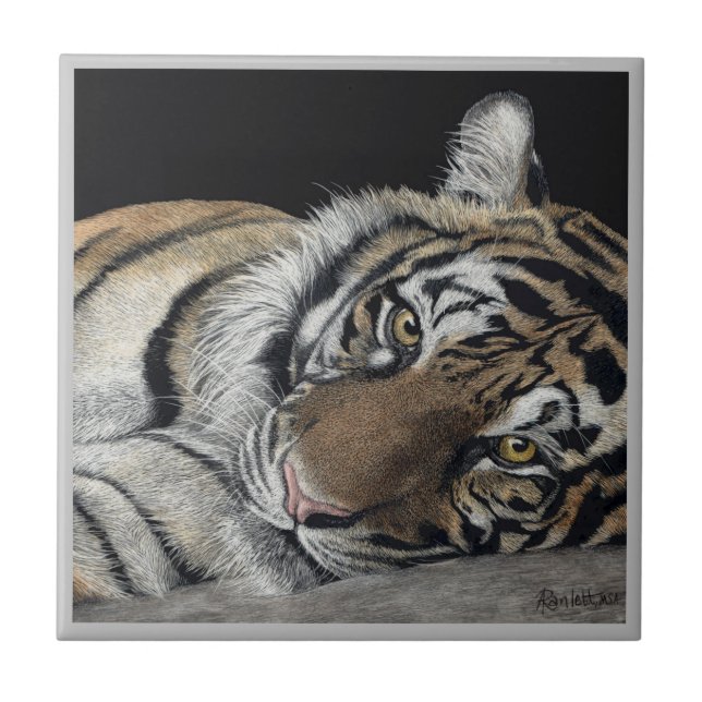 Carreau Carrelage de tigre (Devant)