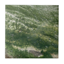 Carrelage Décor Vert