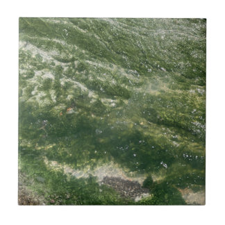 Carreau Carrelage Décor Vert