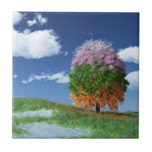 Carreau Carrelage décoratif de l'arbre de saison / Trivet