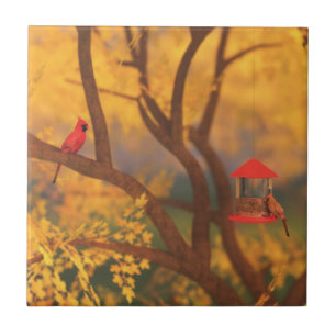 Carreau Carrelage décoratif du Gardien d'automne / Trivet