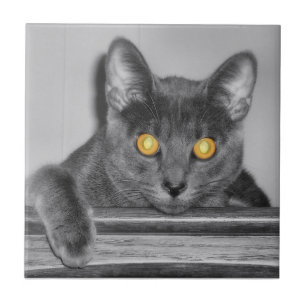 Carreau Carrelage décoratif en or