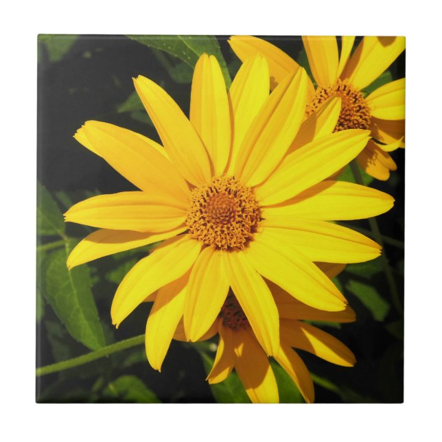 Carreau Carrelage décoratif en or de tournesol (Devant)