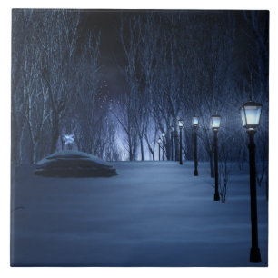 Carreau Carrelage décoratif léger de Fool