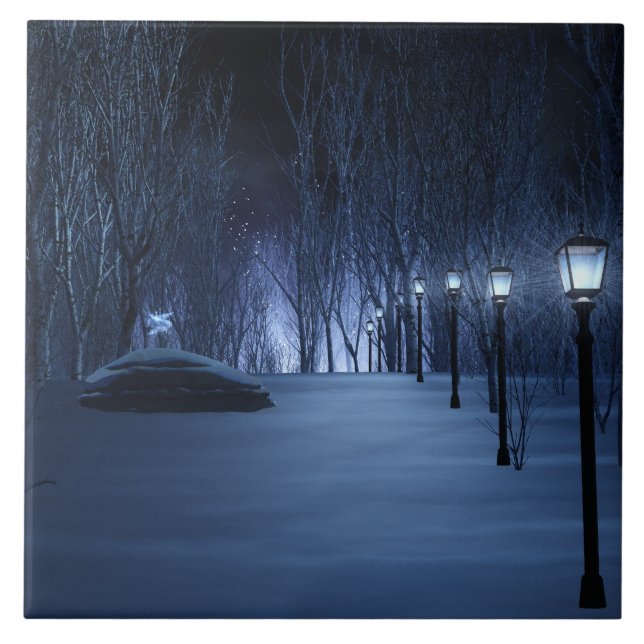 Carreau Carrelage décoratif léger de Fool (Devant)