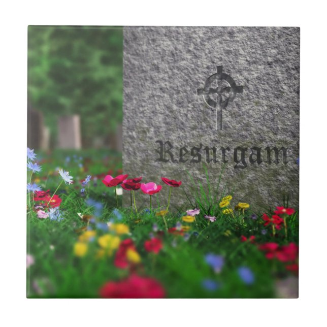 Carreau Carrelage décoratif Resurgam (Devant)