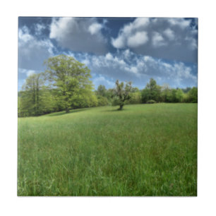 Carreau Carrelage décoratif vert des Appalaches