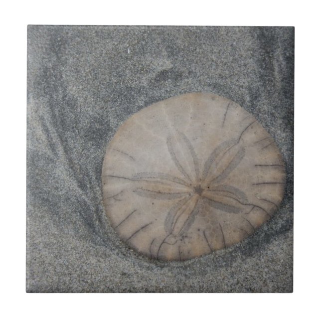 Carreau carrelage en céramique à un dollar de sable (Devant)