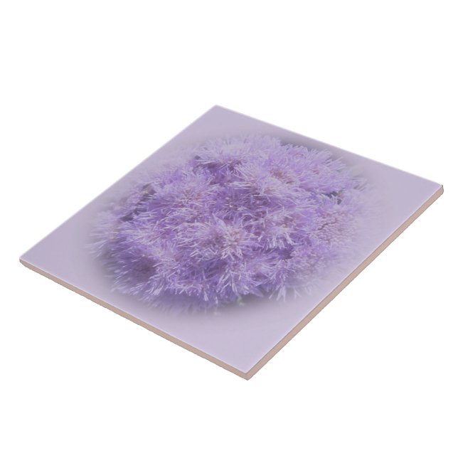 Carreau Carrelage en céramique - Ageratum (Côté)