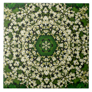Carreau Carrelage en céramique aux fleurs d'airelles de pr