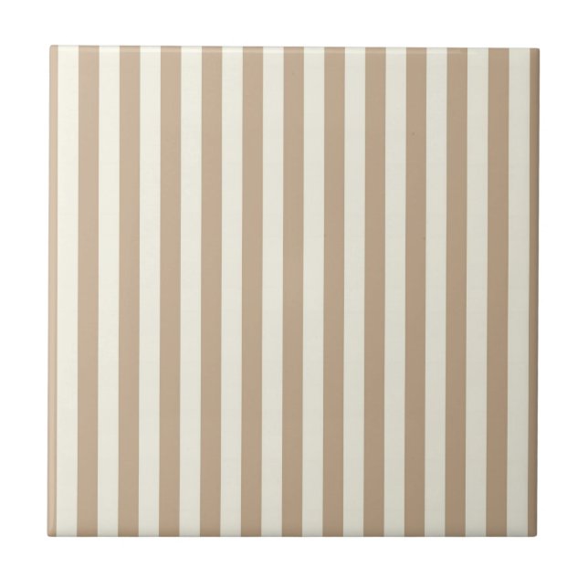 Carreau Carrelage en céramique Baigre Beige (Devant)