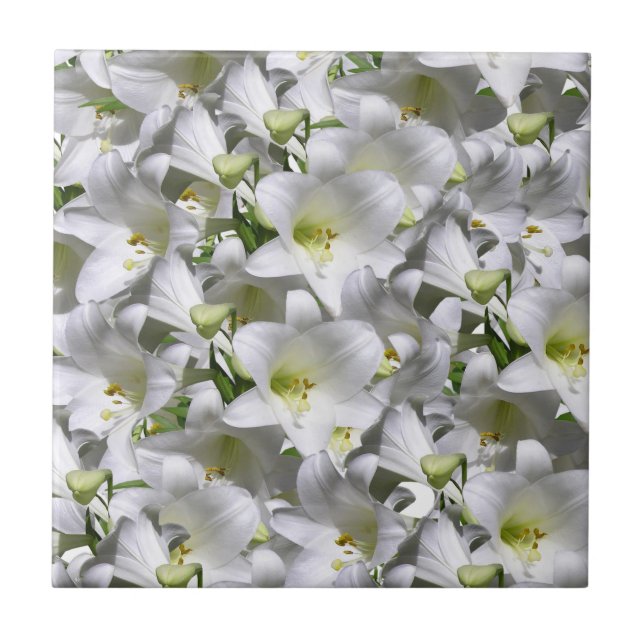 Carreau Carrelage en céramique Blanc Floral (Devant)