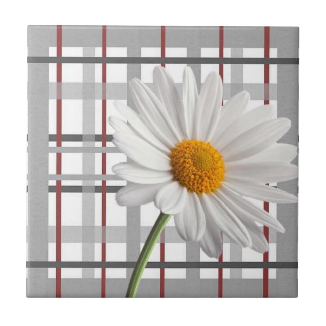 Carreau Carrelage en céramique blanc marguerite florale (Devant)