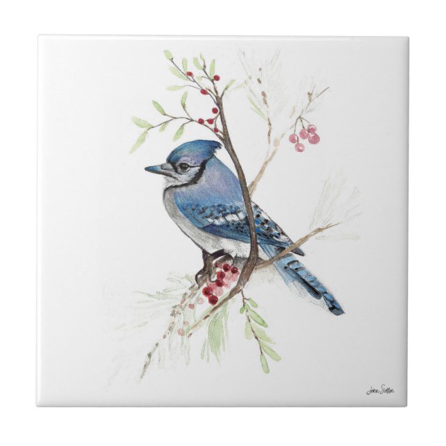 Carreau Carrelage en céramique Blue Jay Bird (Devant)